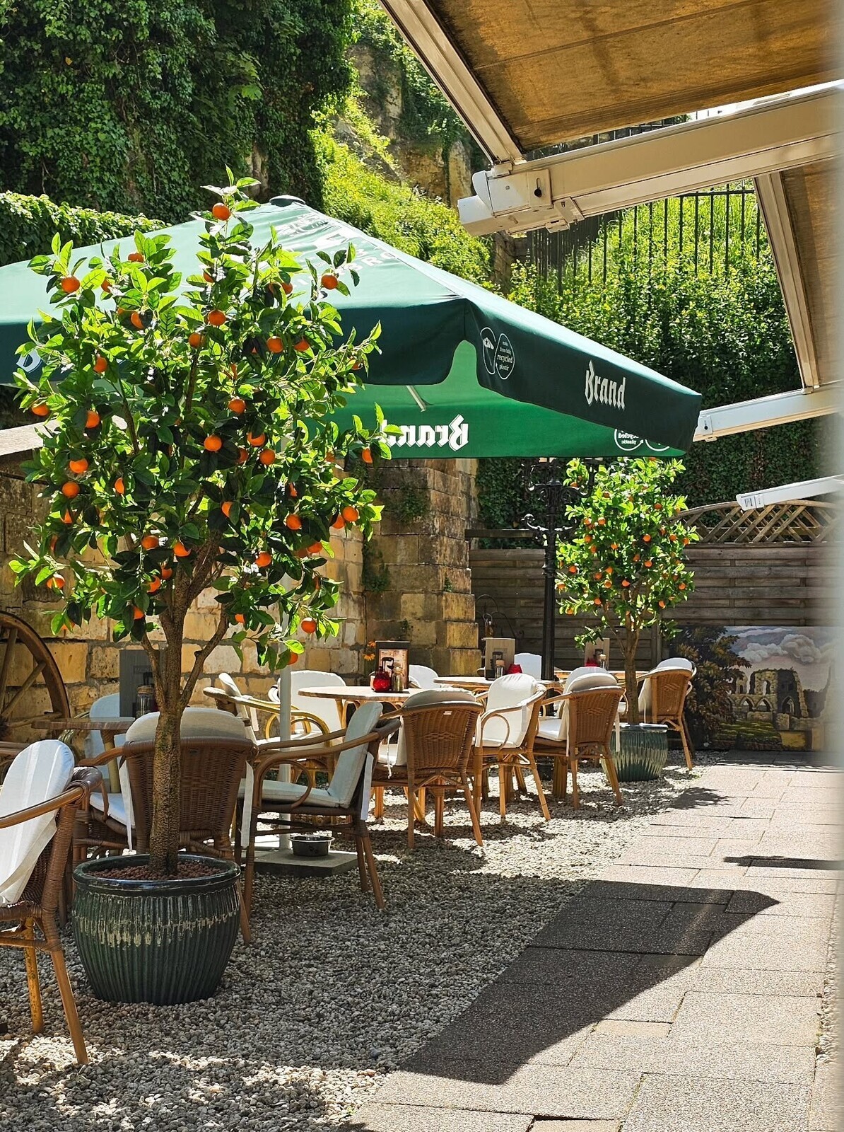 Terras