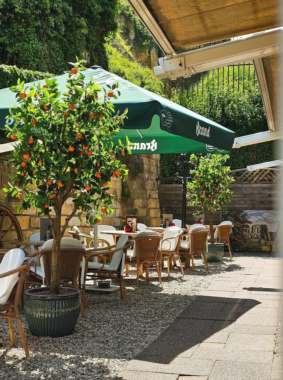 Terras